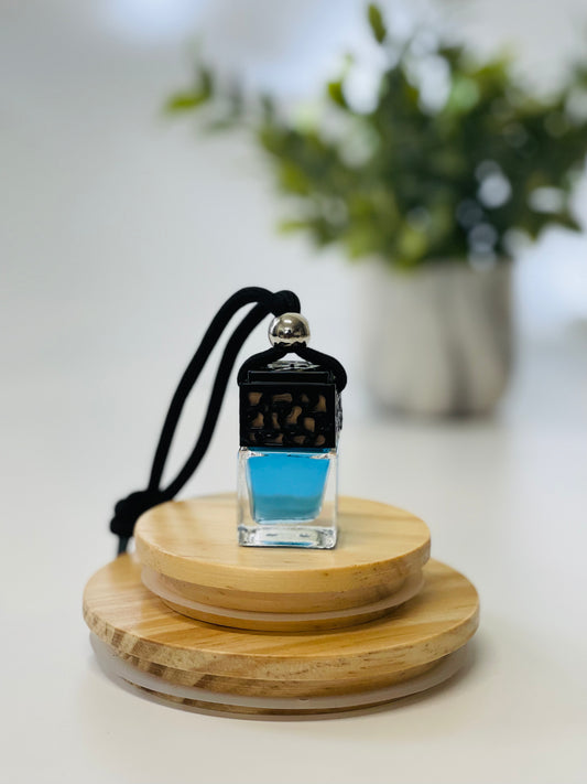 CAR FRESHENER HANGING DIFFUSER CarrCrafts