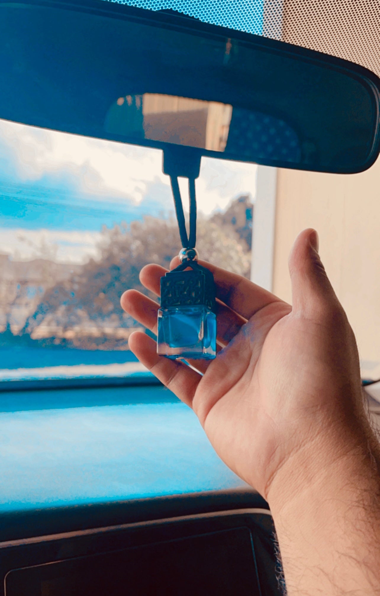 Eucalyptus Car Freshener